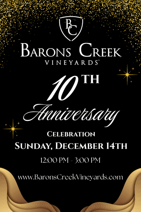 10 Year tent (4 x 6 in)