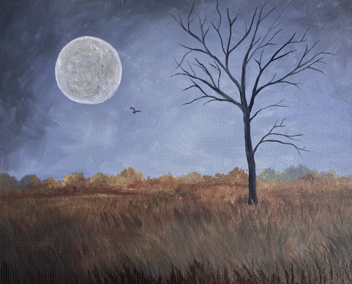 NOVEMBER_SKY_sycbng